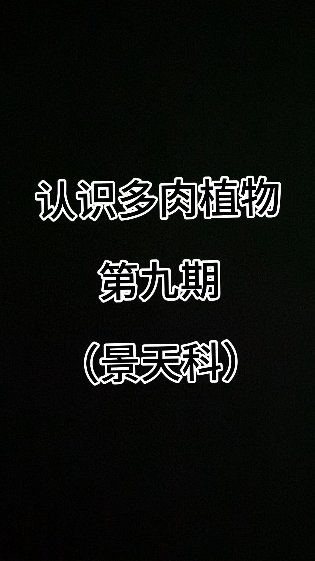 认识多肉植物第九期（景天科）#认识多肉 #种草好物推荐 #多肉控