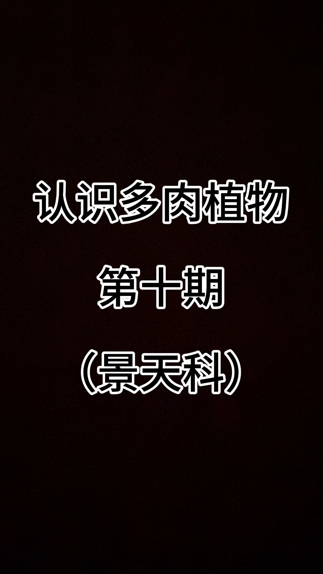 认识多肉植物第十期（景天科）#认识多肉 #多肉植物#种草好物推荐