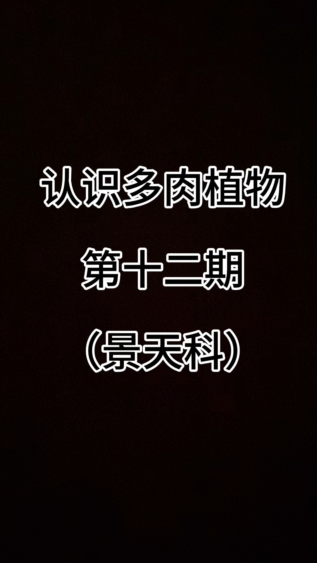 认识多肉植物第十二期（景天科）#认识多肉 #多肉品种 #种草好物