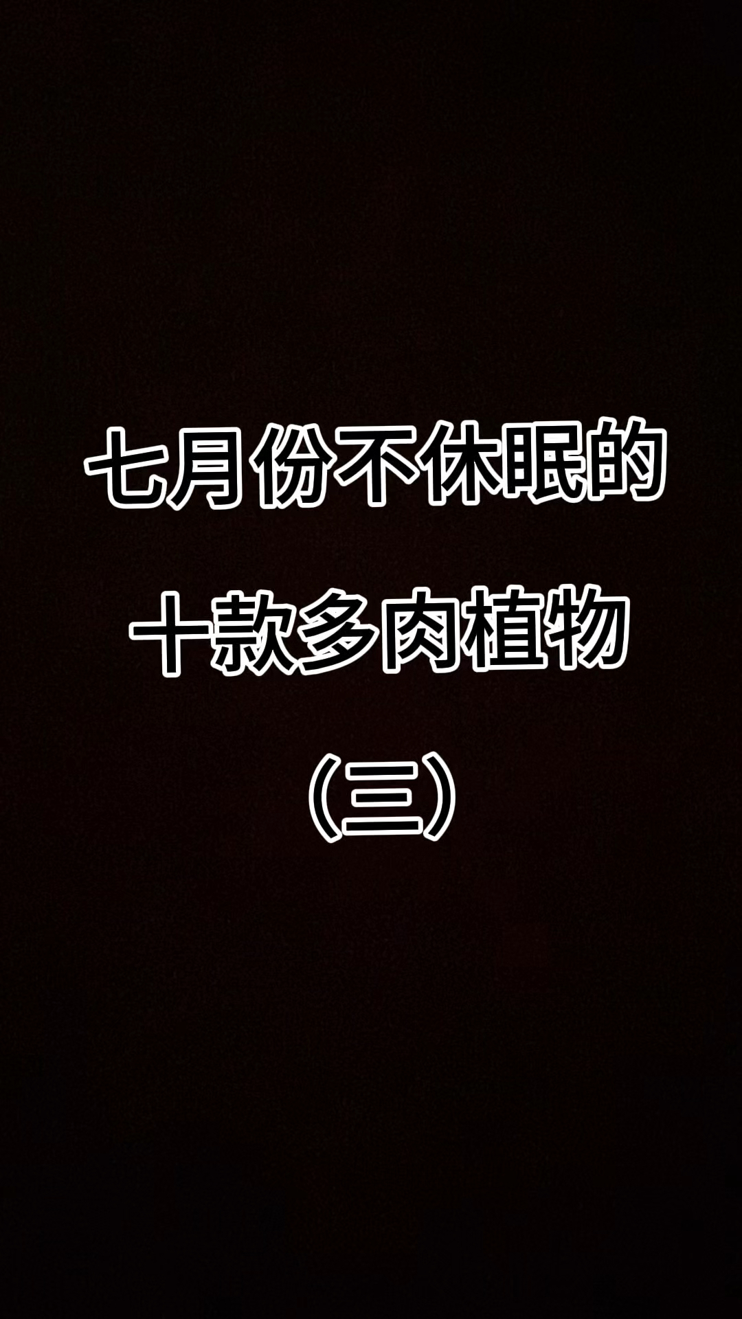 七月份不休眠的十款多肉植物（三）#认识多肉 #新手养多肉
