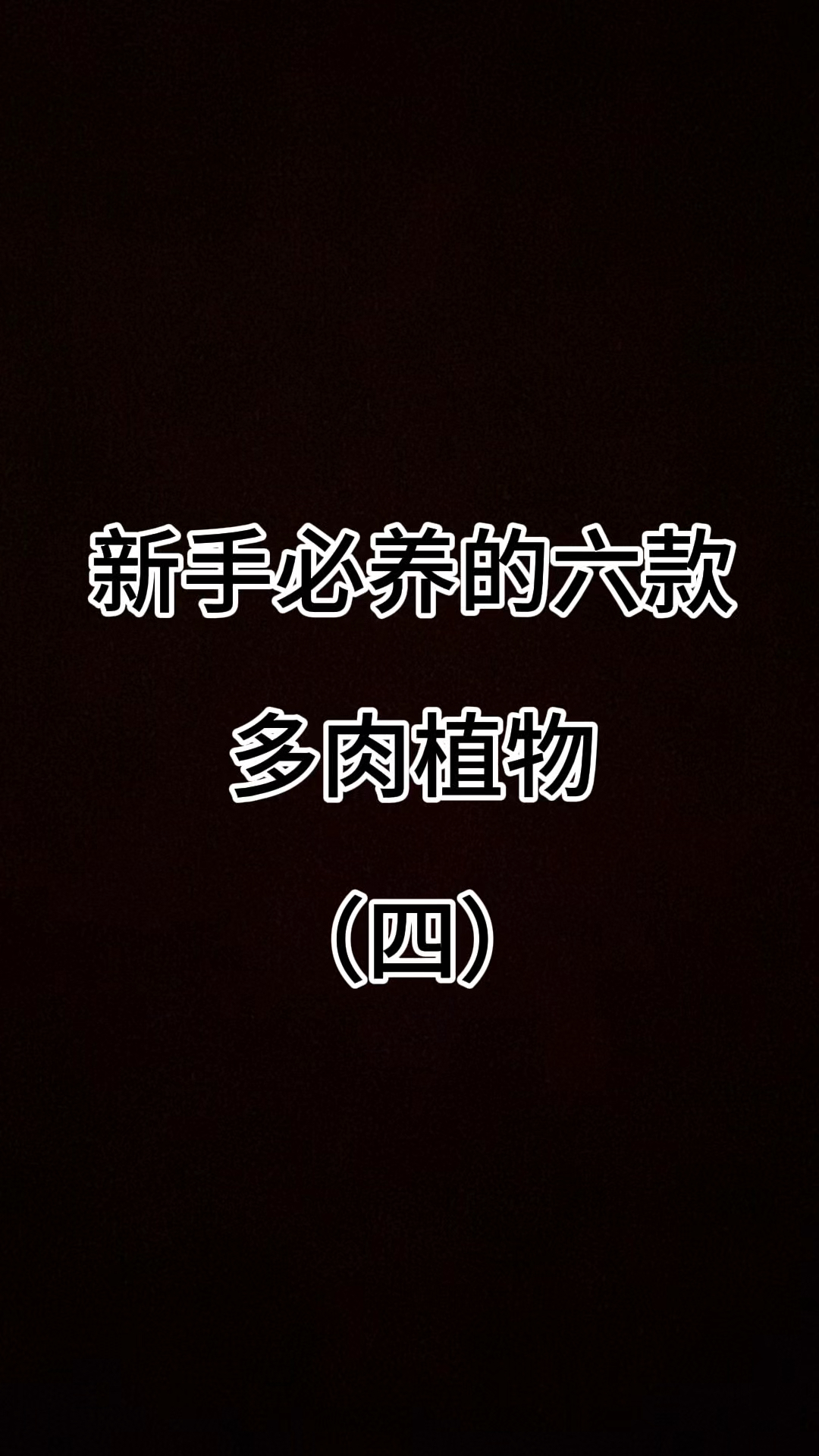 新手必养的六款多肉植物（四）#观音莲多肉