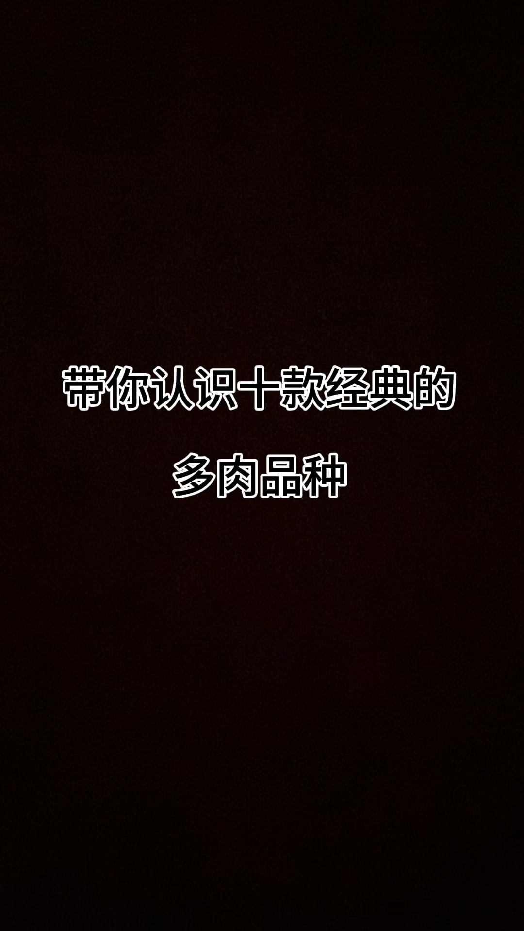 带你认识十款经典的多肉品种#多肉植物#多肉