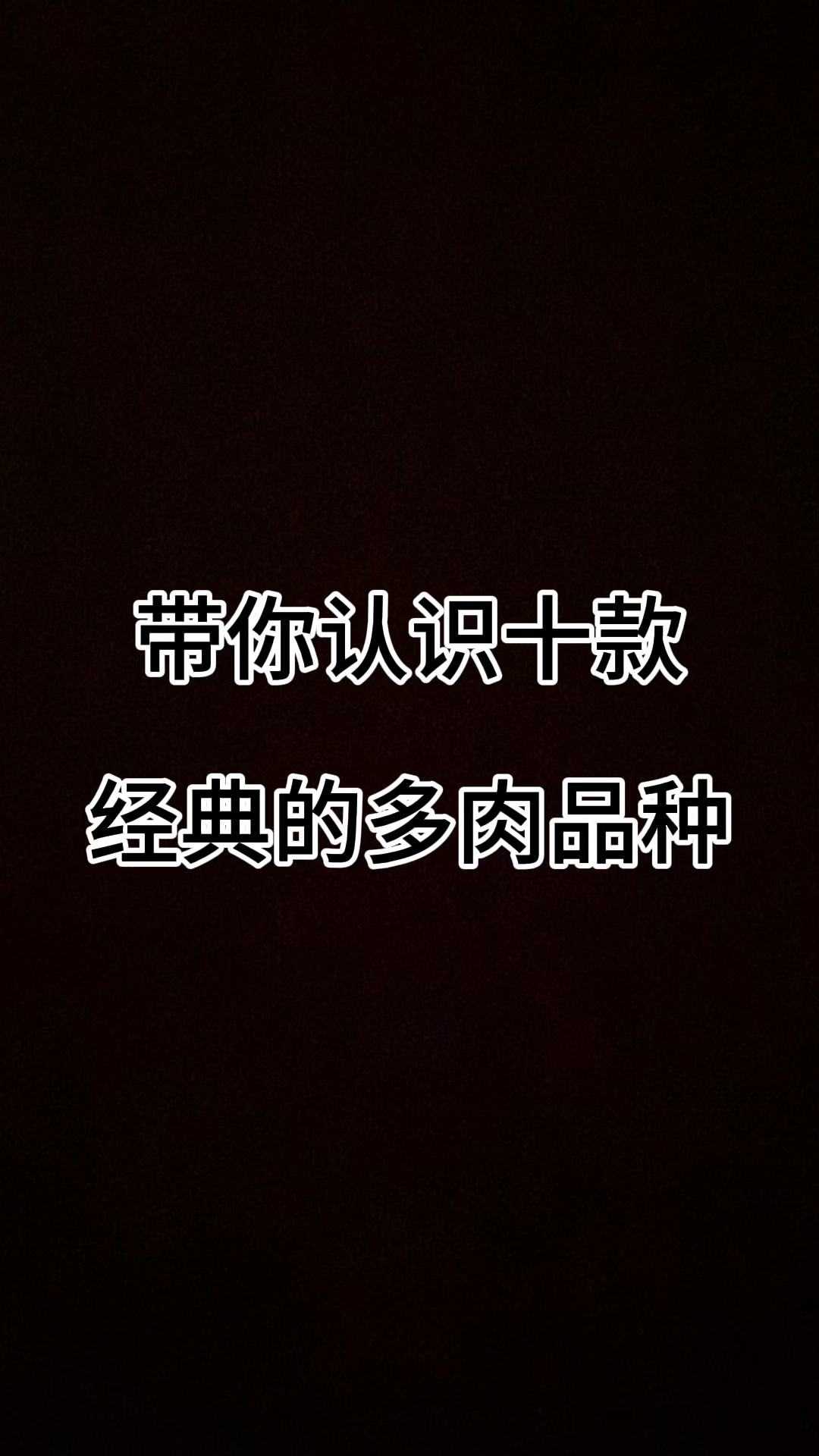 带你认识十款经典的多肉品种#多肉品种