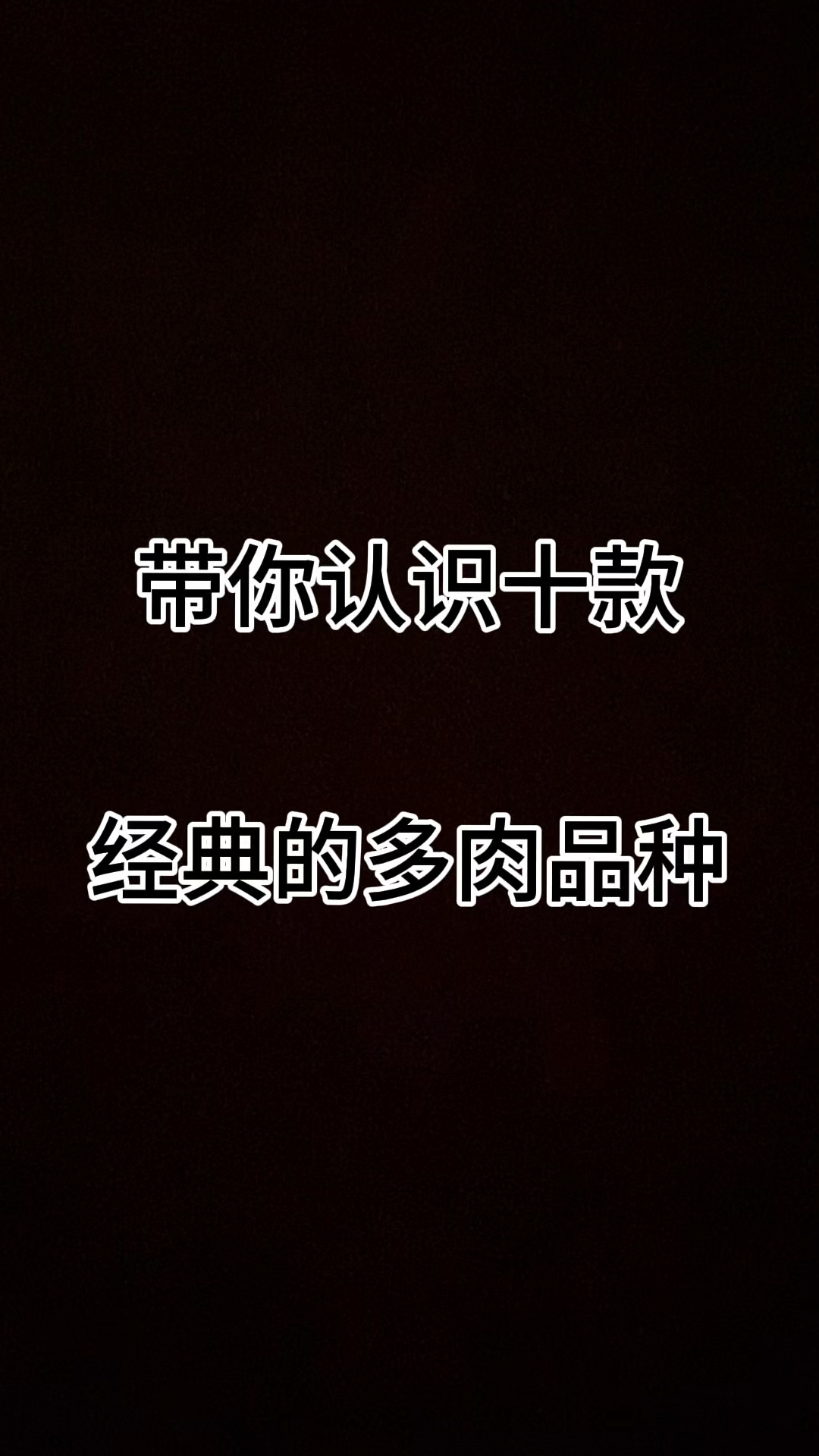 带你认识十款经典的多肉品种