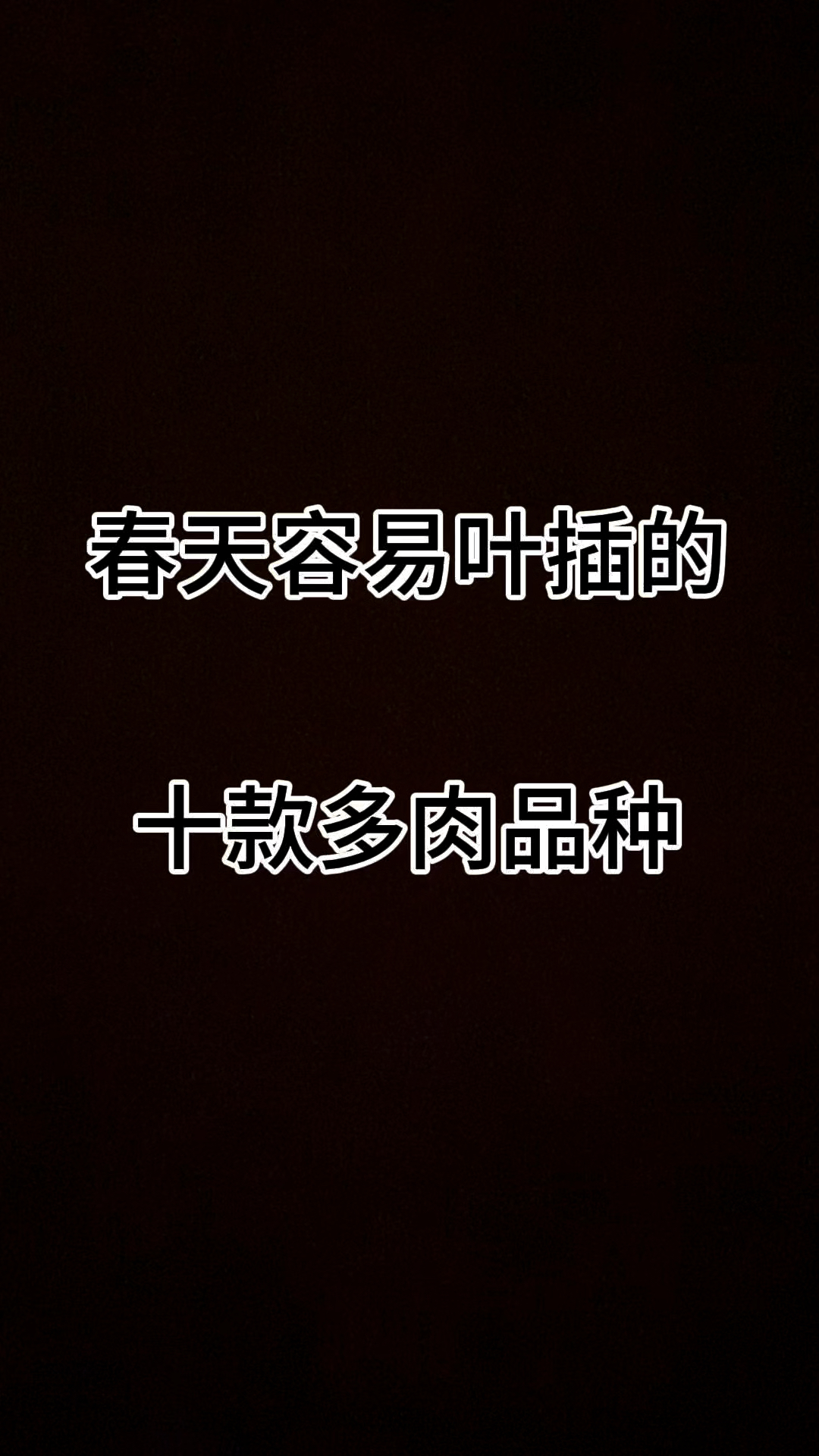 春天容易叶插的十款多肉品种#多肉植物#种草好物推荐