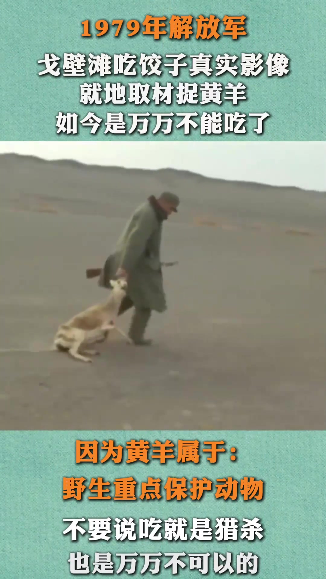 79年解放军吃饺子真实影像,捕捉黄羊当肉馅,如今是万万不能吃了