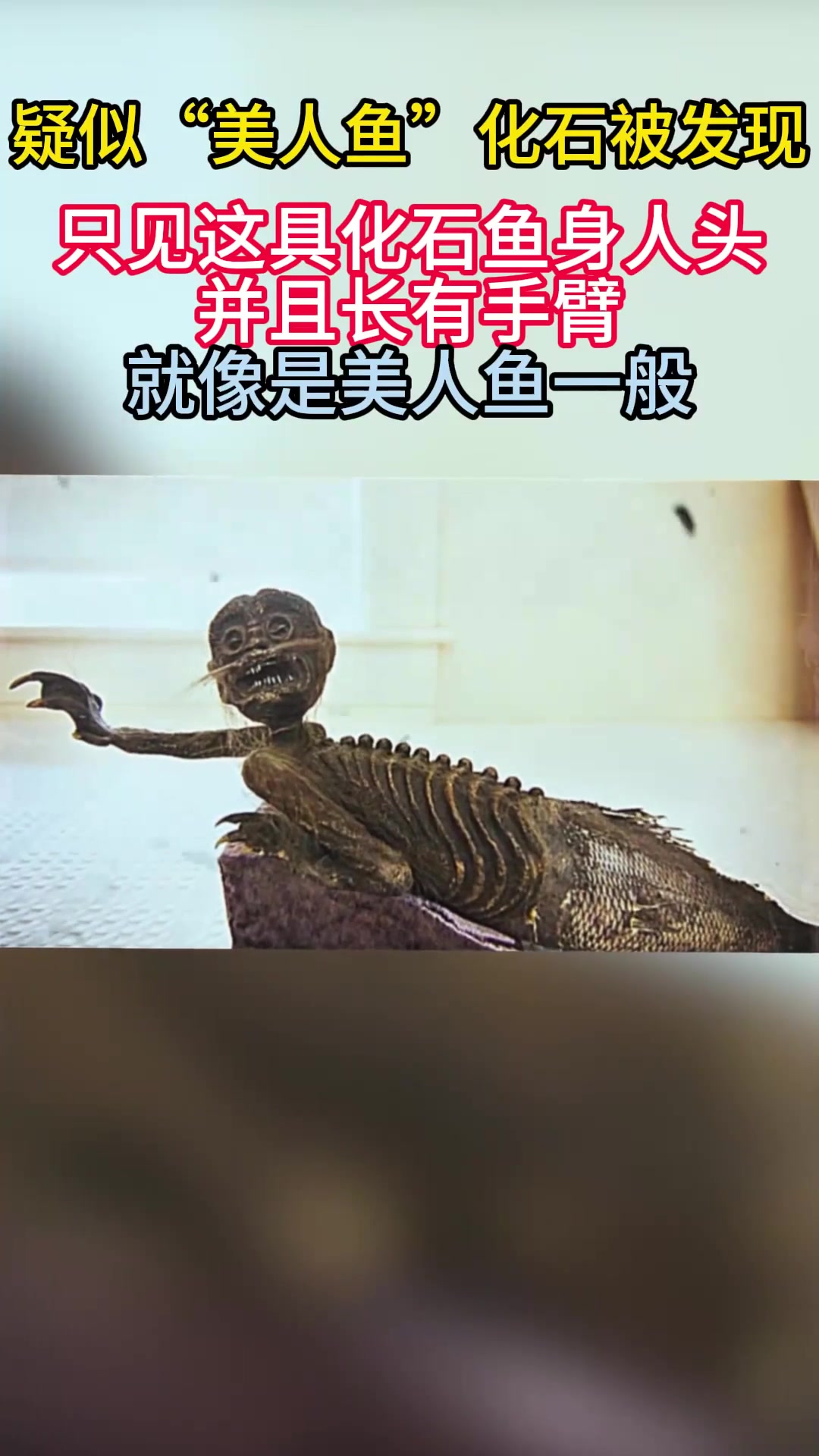 疑似“美人鱼”化石被发现