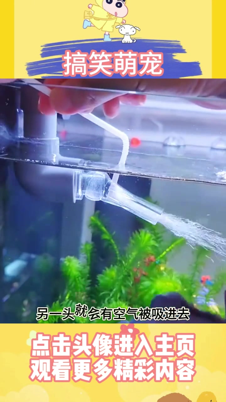 自制增氧气,给鱼池输氧