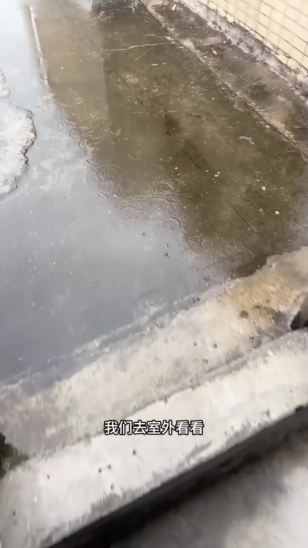 挑战自制鱼骨标本