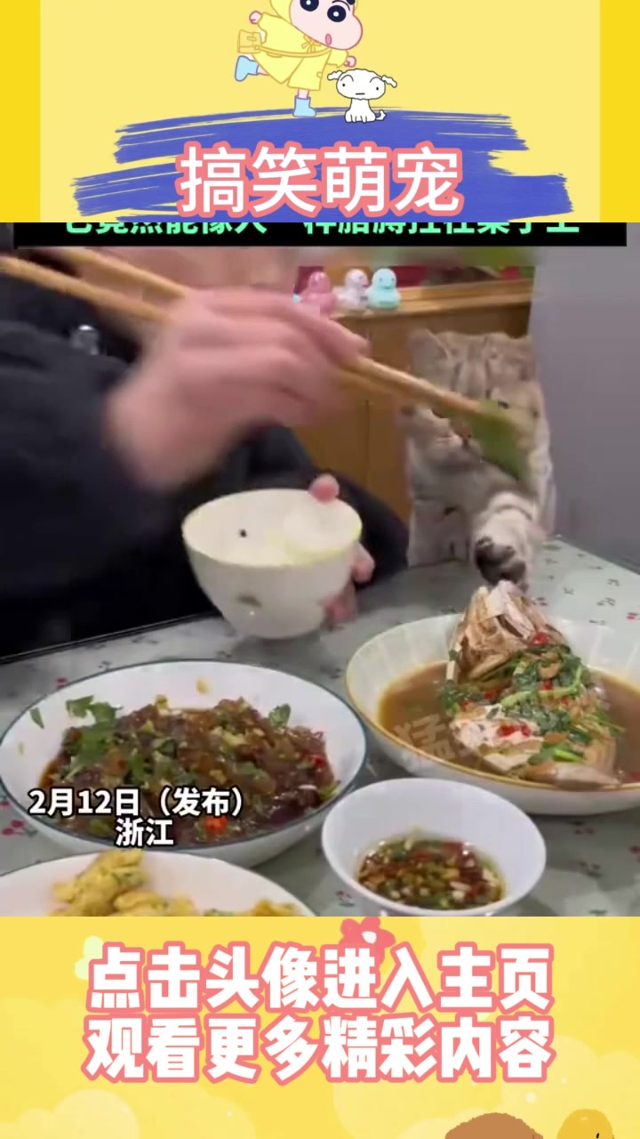 小孩哥当着猫咪面吃鱼，小猫咪馋得一直盯着筷子看，“它竟然能像
