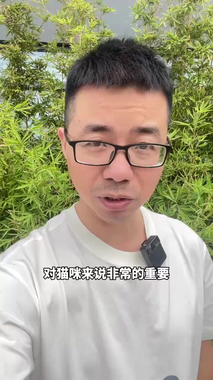 猫咪吃鱼油智商税吗?