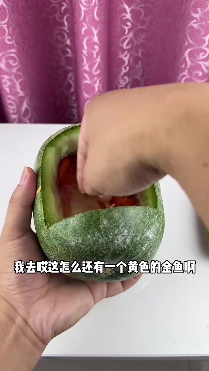 离谱!据说金鱼放在冬瓜里养,繁殖速度特别快,亲测
