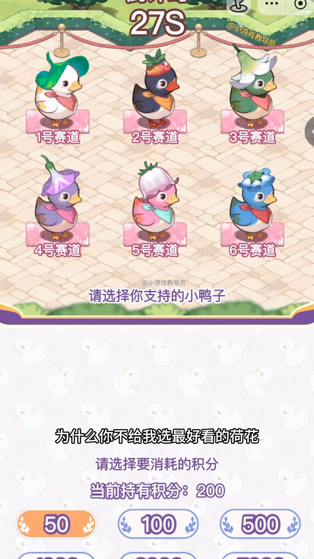 荷花鸭子很可爱呢