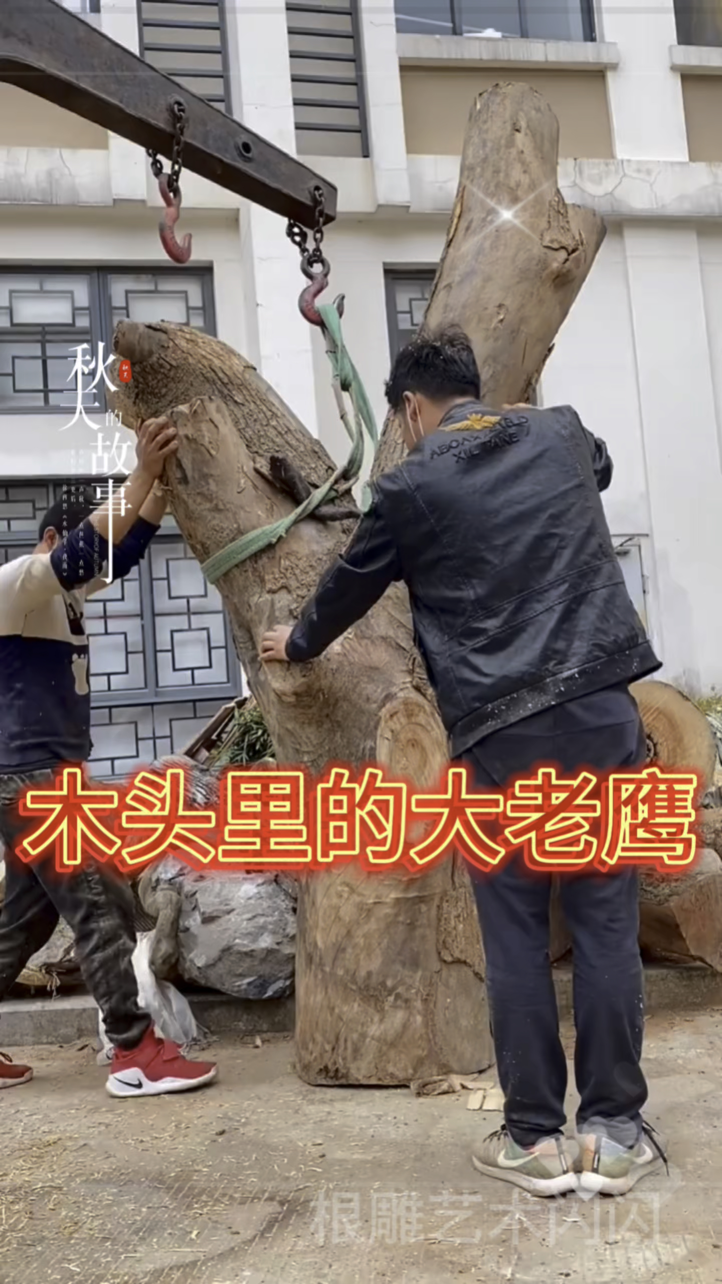 木头里的大老鹰!