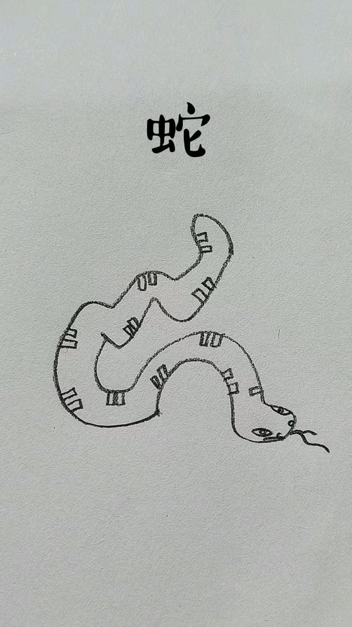 蛇简笔画儿童绘画