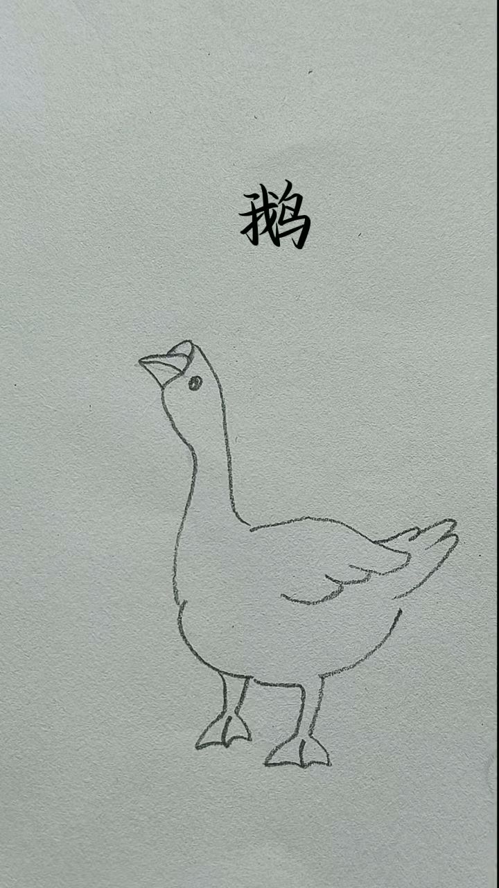 大白鹅儿童简笔画