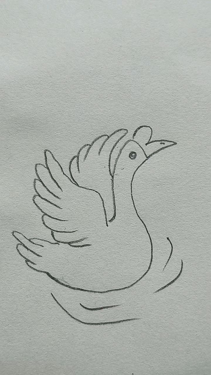 可爱的大鹅简笔画