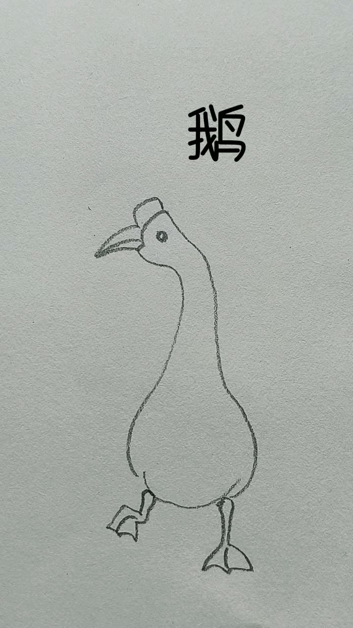 可爱小鹅简笔绘画