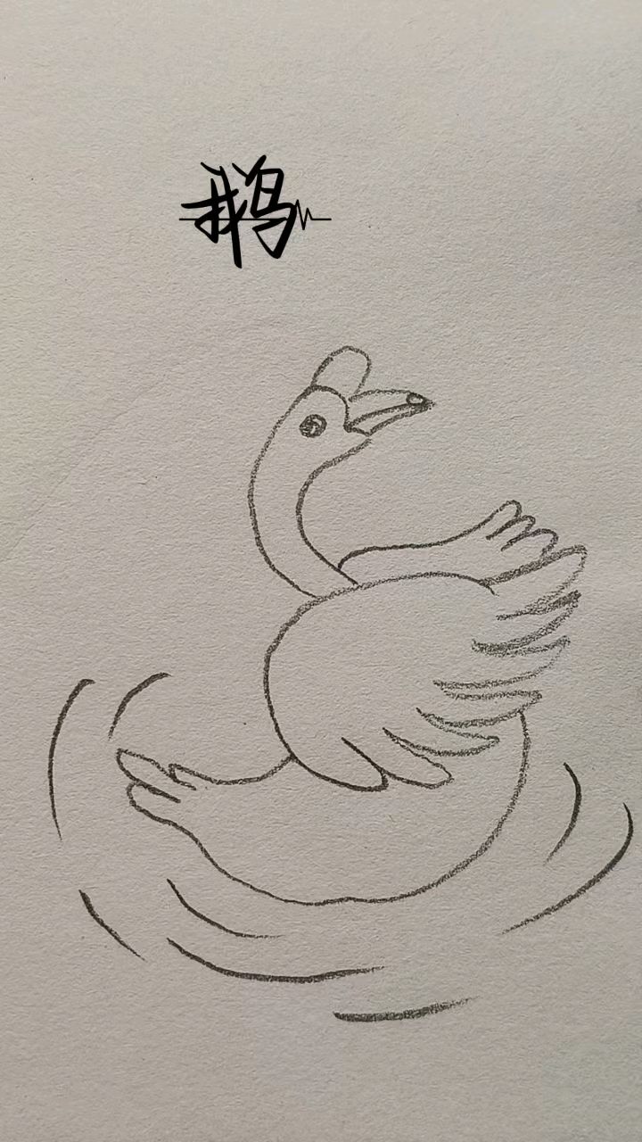 大白鹅儿童简笔画