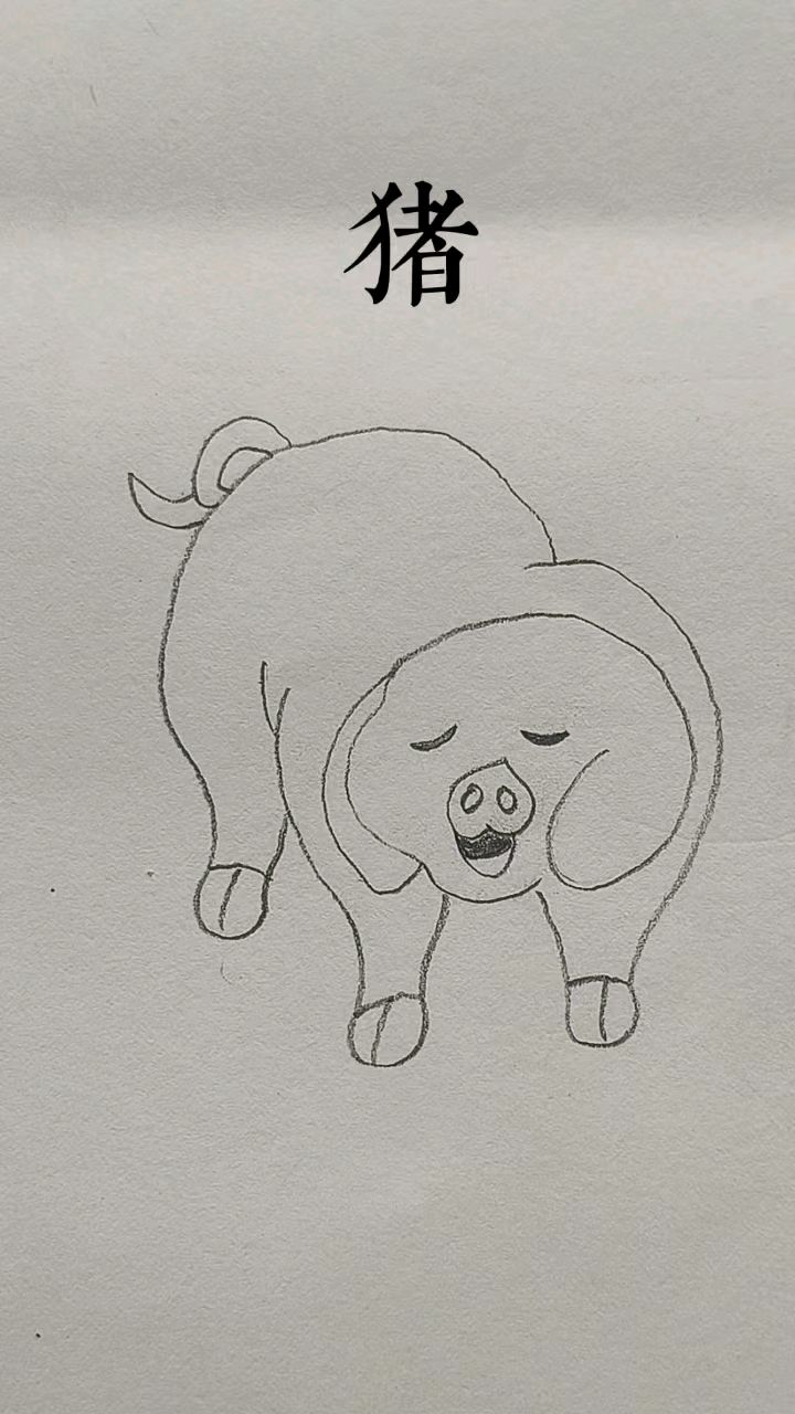 可爱动物简笔画小猪