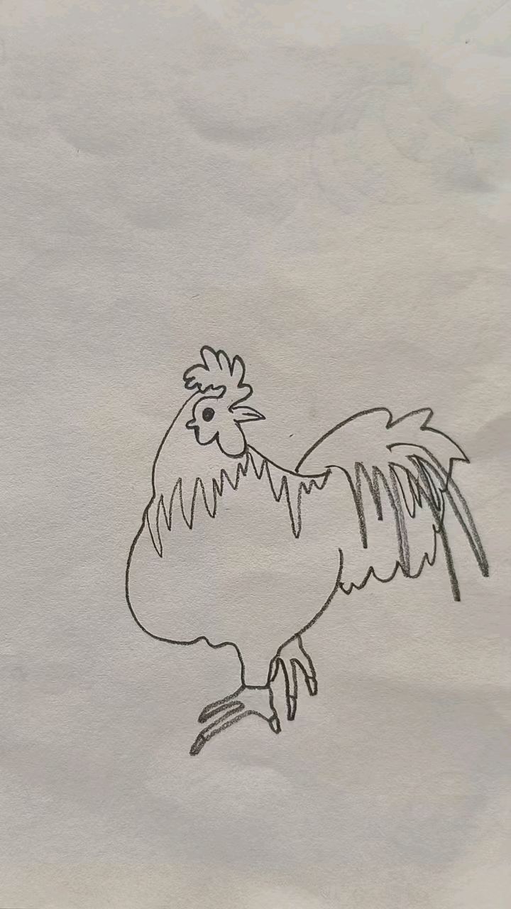 可爱的大公鸡简笔画