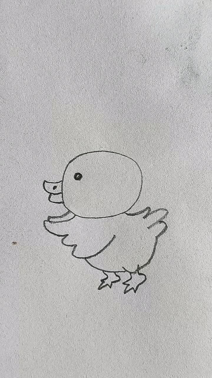 可爱的小鸭子简笔画