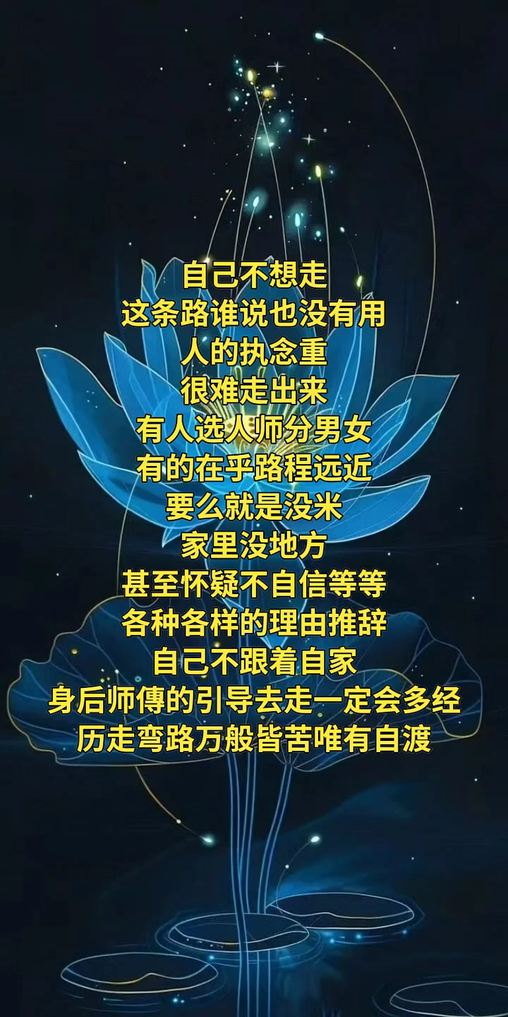 #手机壁纸 #锦鲤报好运