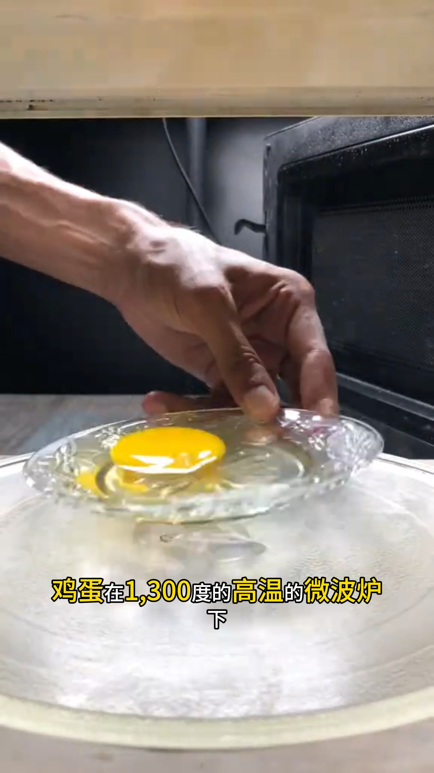 和我一起进微波炉看烤鸡蛋
