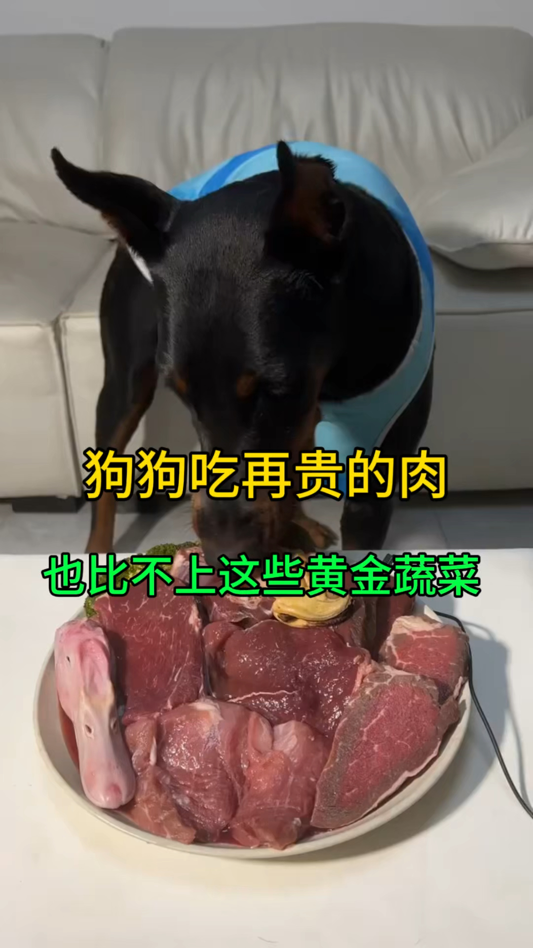 狗狗吃再贵的肉，比不上这些黄金蔬菜
