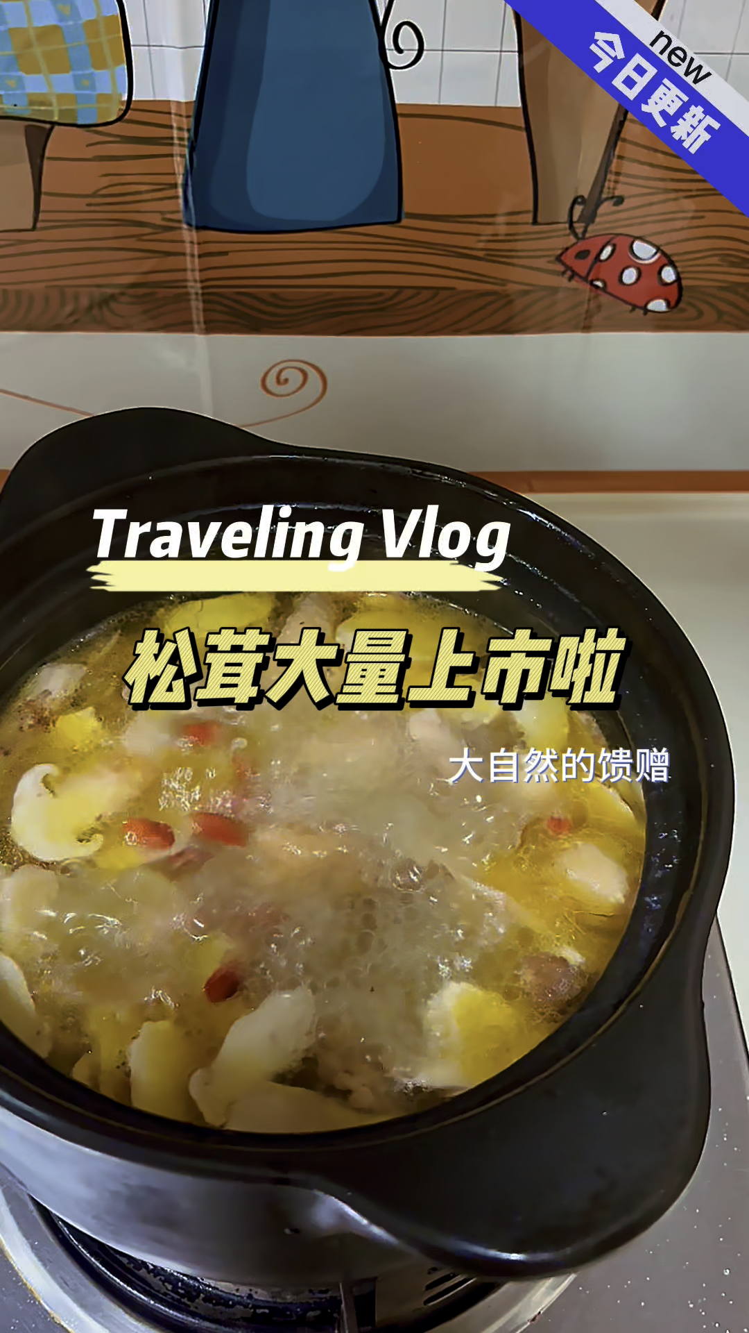 松茸鸡汤你喝了吗