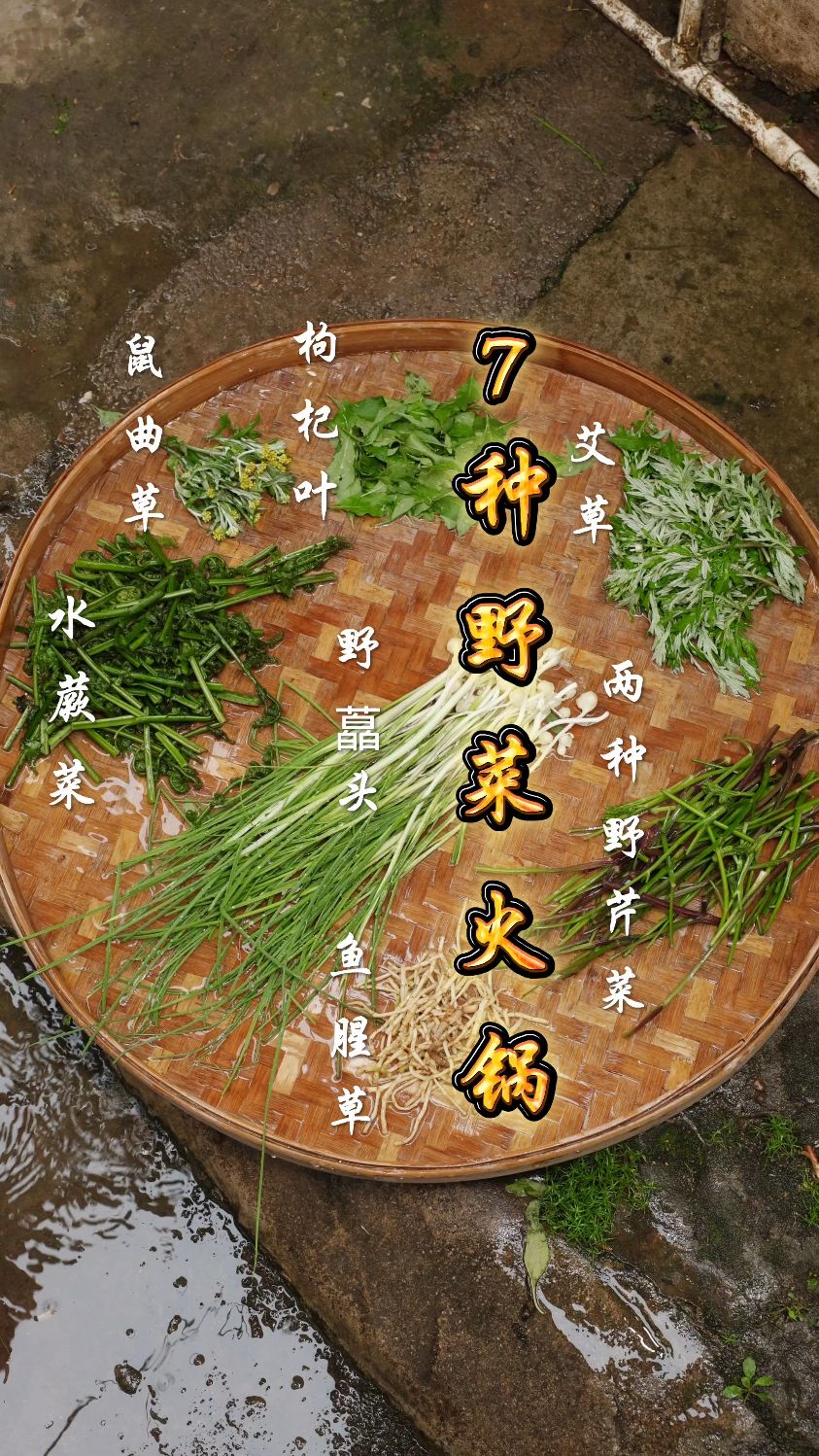 广东人涮火锅必吃的7种野菜，第7种让客家阿婆直摇头！你敢试吗？