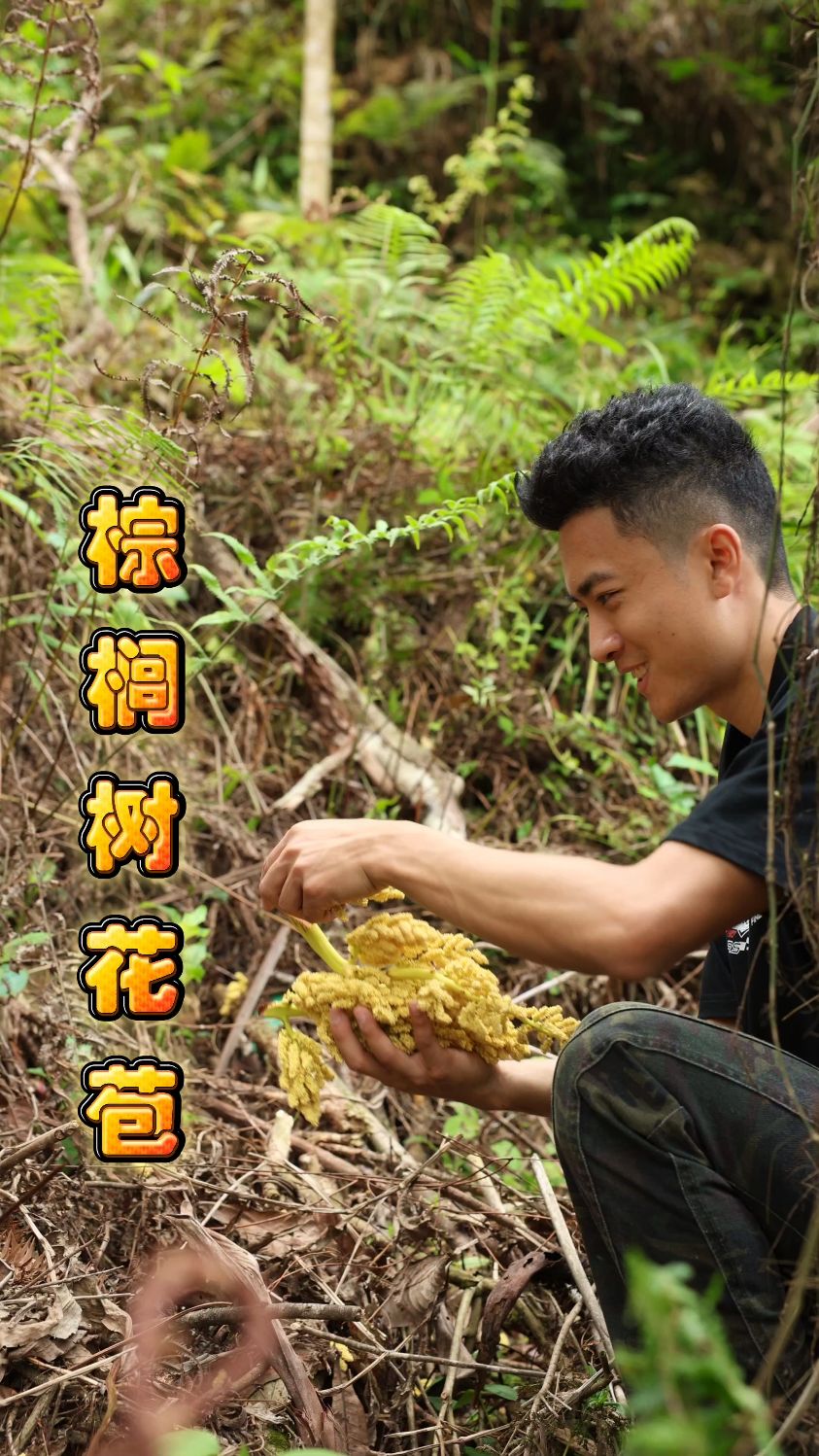 北方人没见过！广东人春天抢着摘的树上野菜，和腊肉炒香疯了！