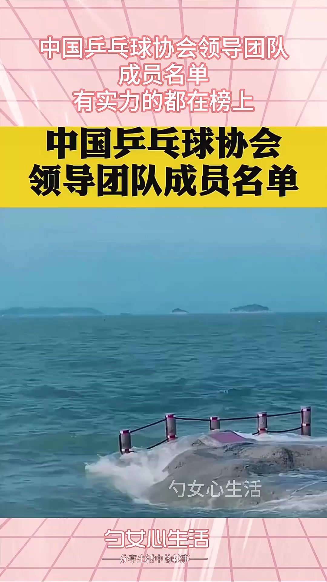 中国乒乓球协会领导团队,成员名单,有实力的都在榜上