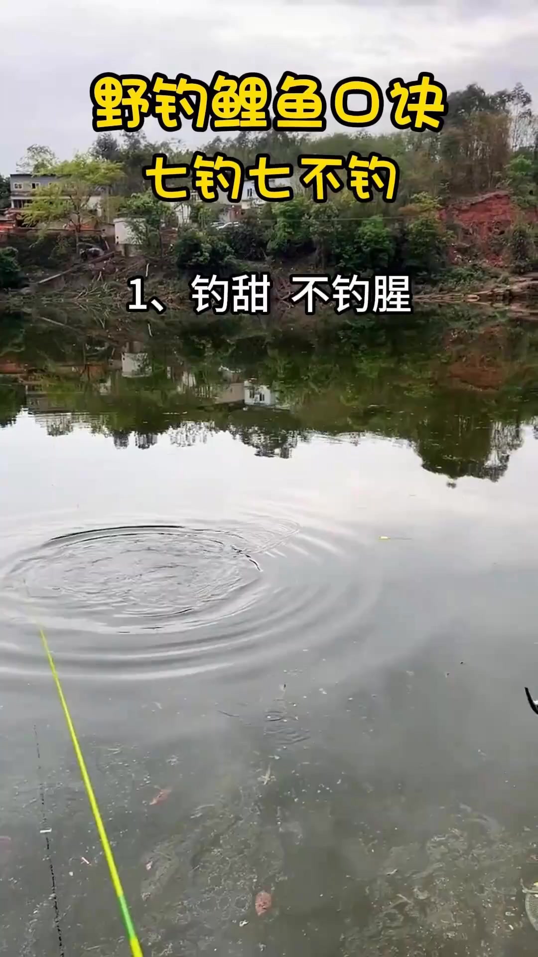 野钓鲤鱼口诀 七钓七不钓