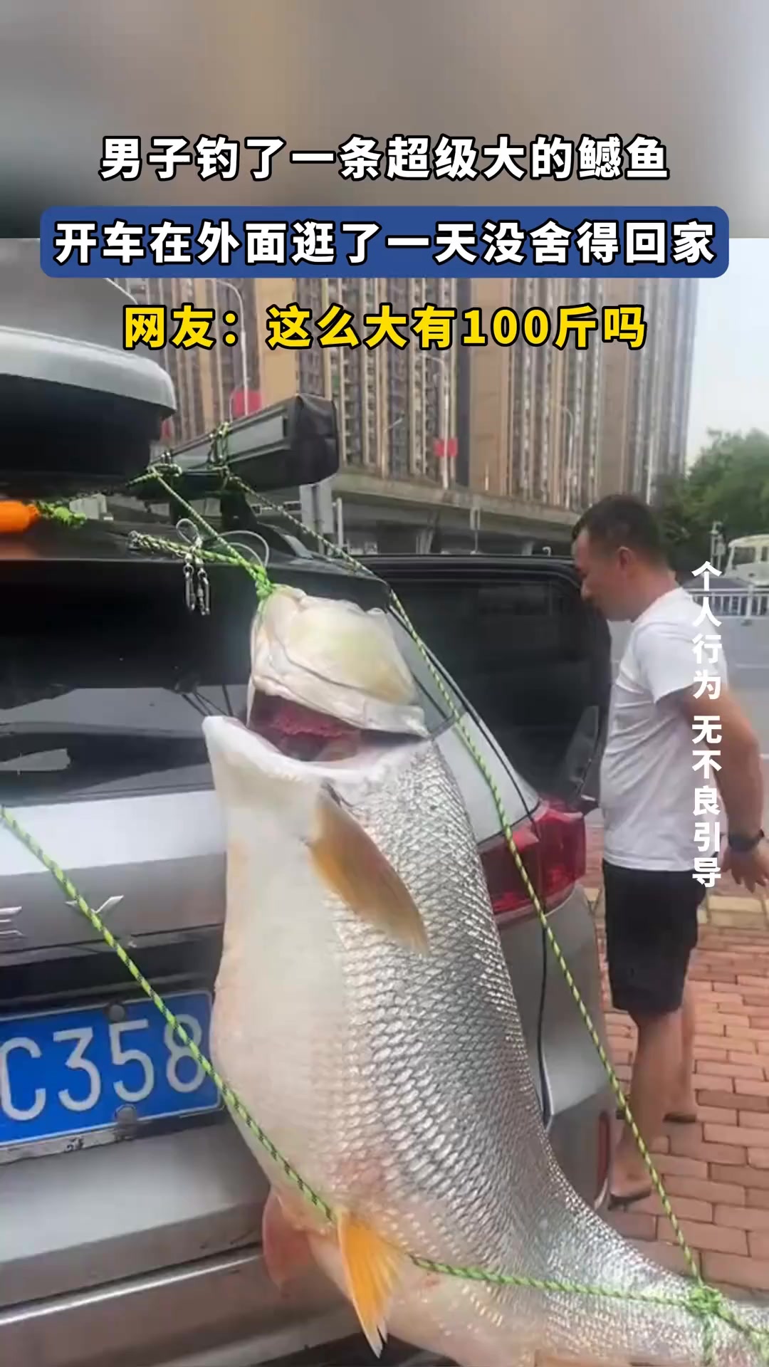 男子钓了一条超级大的鳡鱼,开车在外面逛了一天没舍得回家