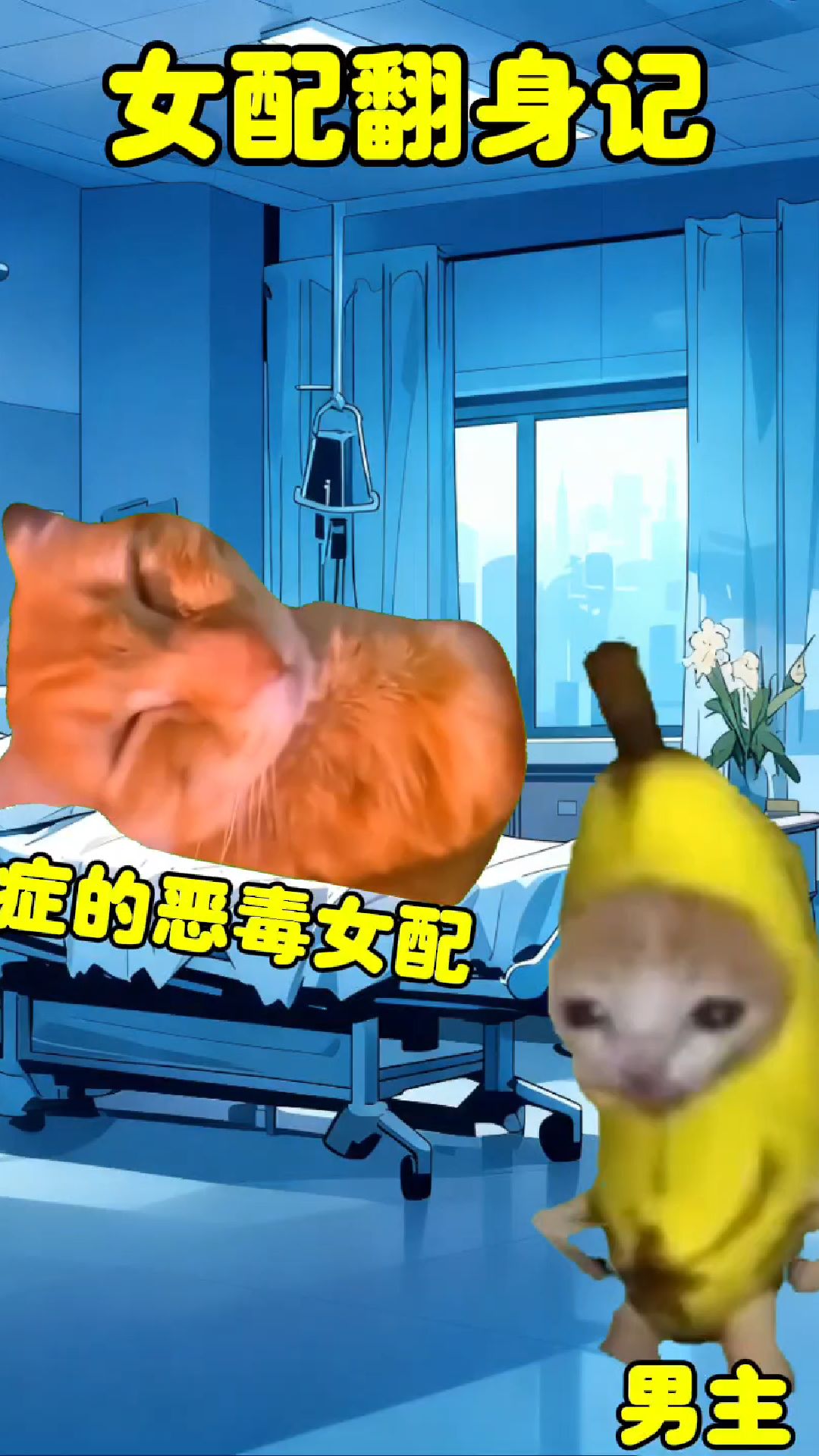 女配翻身逆袭计！