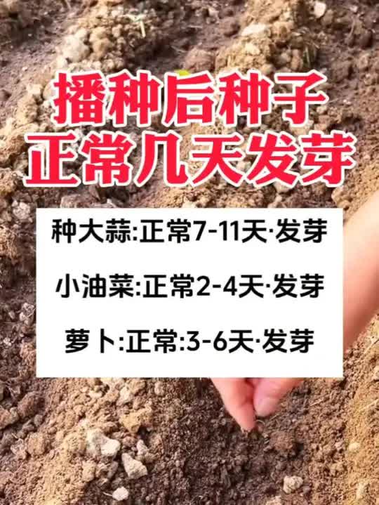 播种后正常种子几天发芽
