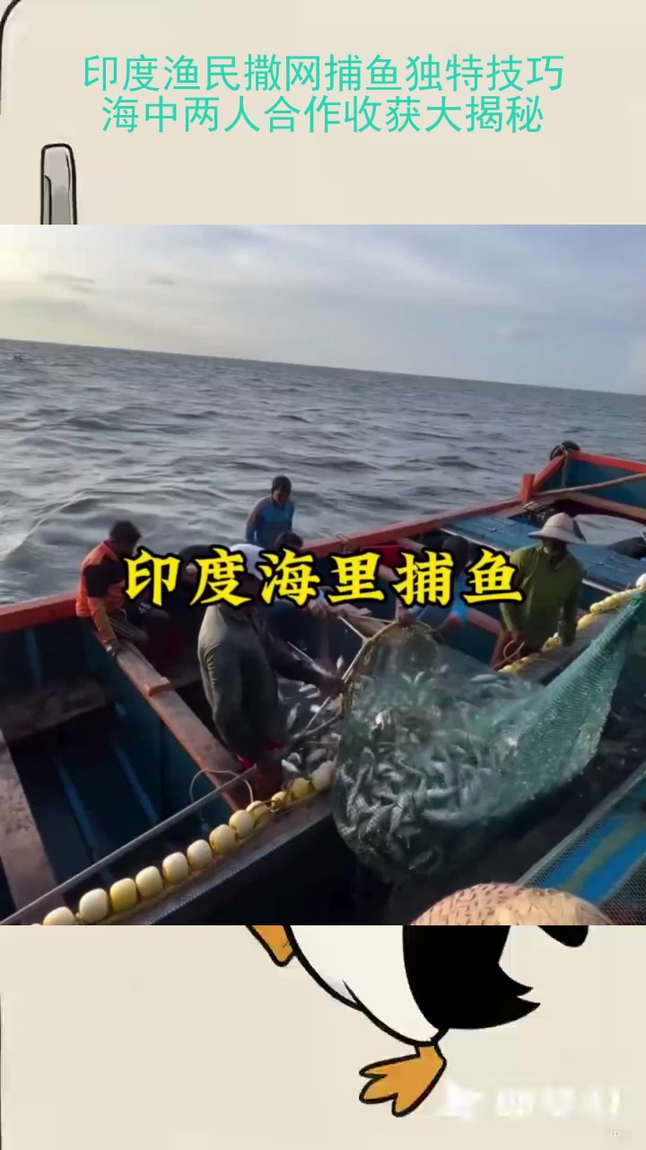印度渔民撒网捕鱼独特技巧：海中两人合作收获大揭秘