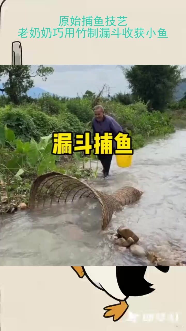 原始捕鱼技艺:老奶奶巧用竹制漏斗收获小鱼