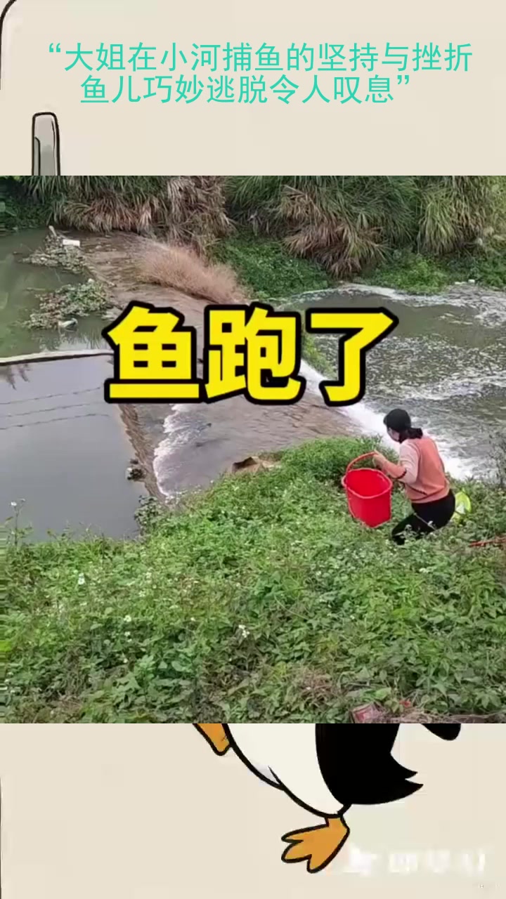 “大姐在小河捕鱼的坚持与挫折,鱼儿巧妙逃脱令人叹息”