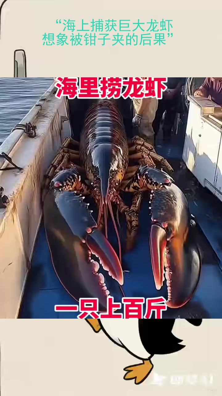 “海上捕获巨大龙虾,想象被钳子夹的后果”