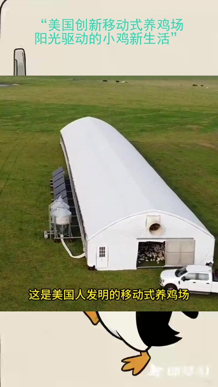 “美国创新移动式养鸡场:阳光驱动的小鸡新生活”
