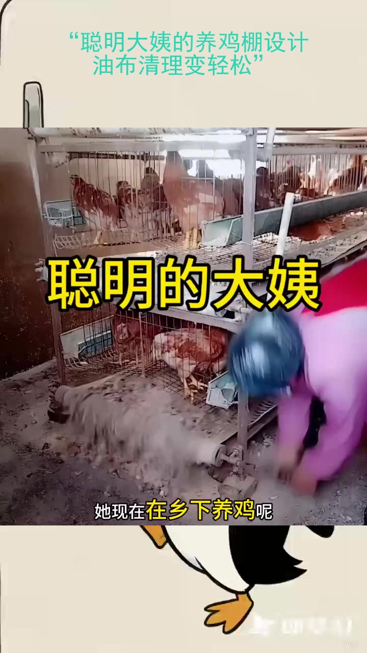 “聪明大姨的养鸡棚设计:油布清理变轻松”
