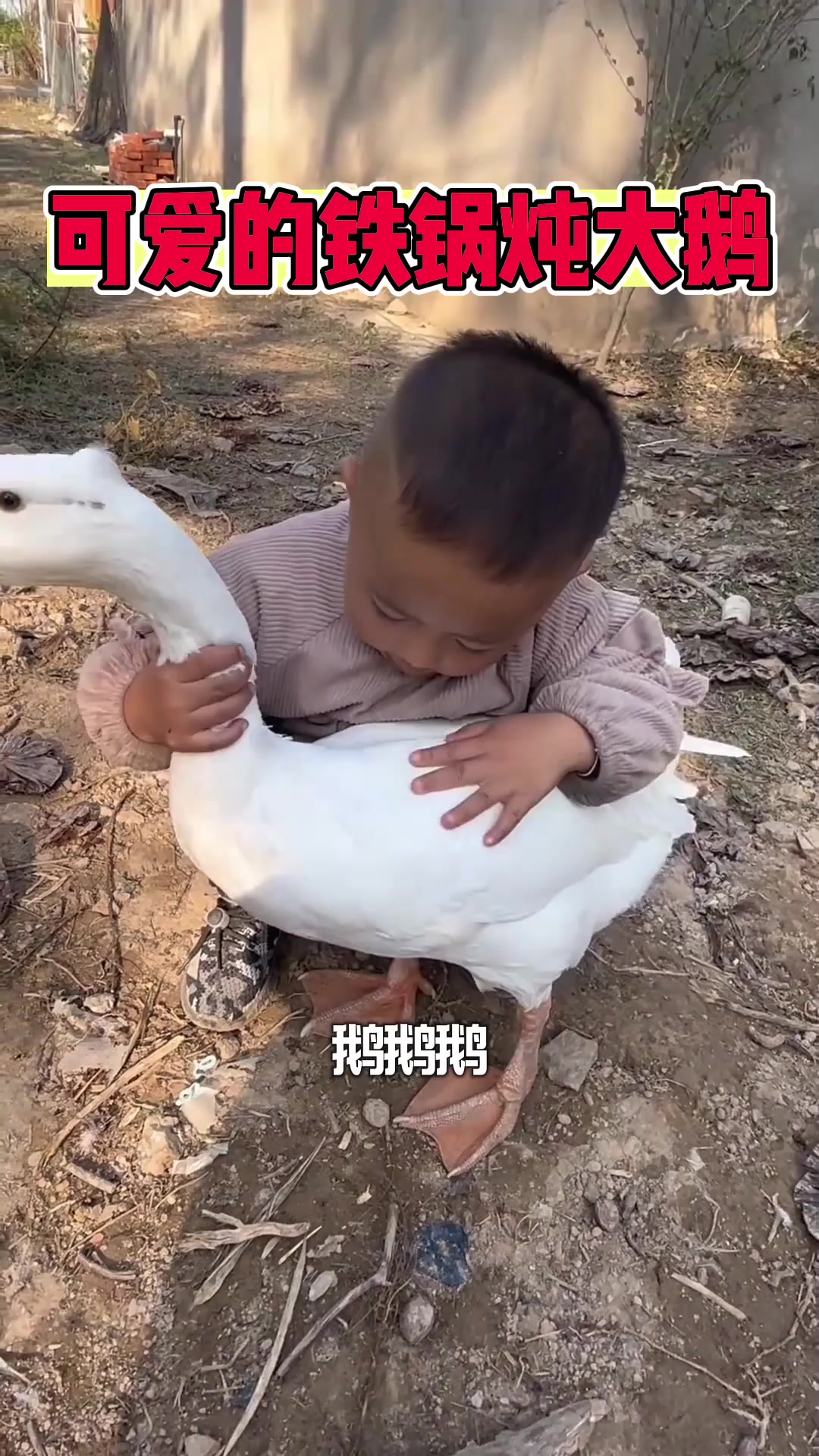 铁锅炖大鹅炖的是你不