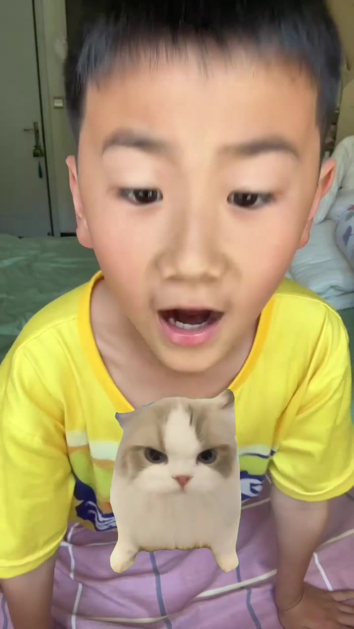 给猫meme表情包配音