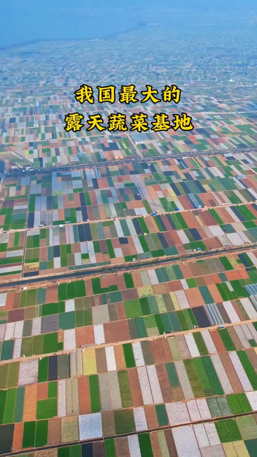 我国最大的露天蔬菜基地，非常的壮观