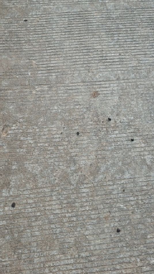 你们的珍珠奶茶掉地上了