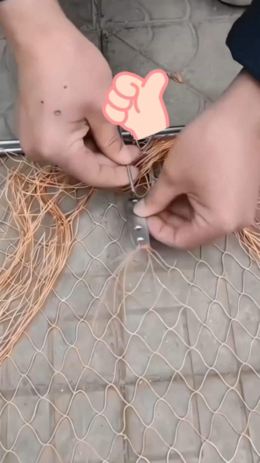 大爷发明的拍网神器,抓鸽子一抓一大把
