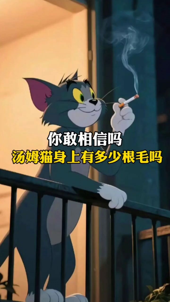 你敢相信吗 有人算出汤姆猫身上多少个根毛
