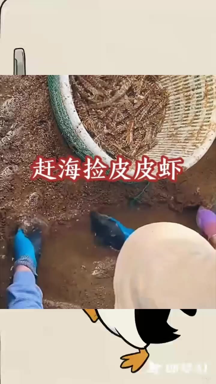 海边沙子里的皮皮虾